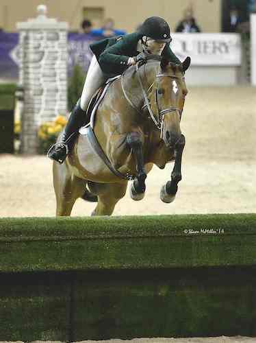 Montana Coady and Winnetoe Reserve Champion Amateur Owner Hunter 3'6" 18-35 2014 Capital Challenge Photo by McMillen