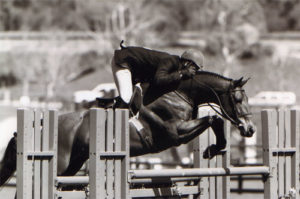 Archie Cox and White Oak Oaks Blenheim 2008 Photo Cathrin Cammett