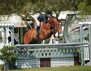 Gina Ross and Beckham Amateur Owner Hunter 2014 Blenheim Spring Photo McCool