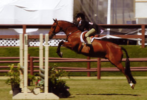 Grace Morton and Dutch Treat owned by Old Oak Farm Large Pony Hunters Oaks Blenheim 2008 Photo Tarlton Morton