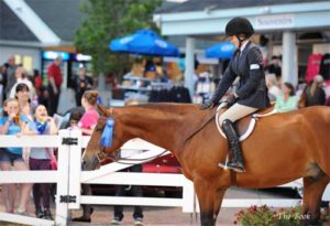 Lily Blavin and Montague Large Junior Hunter 16-17 2014 Devon Horse Show Photo The Book LLC