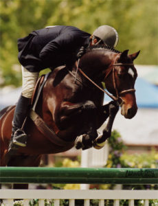 Archie Cox and Smitten Second Year Green Hunters Oaks Blenheim 2008 Photo Cathrin Cammett