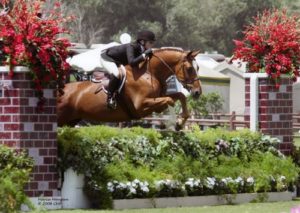 Ashley Pryde and Wesley Champion Small Junior Hunters 15 & Under 2008 Blenheim Summer Classic Photo Captured Moment Photography