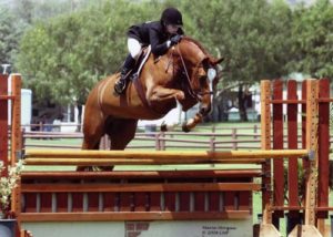 Ashley Pryde and Wesley Champion Small Junior Hunters 15 & Under 2008 Blenheim Summer Classic Photo Captured Moment