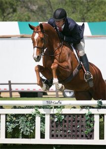 Archie Cox and Appeal owned by Gina Ross 2016 Blenheim Spring Photo Amy McCool
