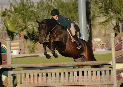 Brooke Sassa and Catwoman Large Junior Hunter 15 & Under 2014 HITS Desert Circuit Photo Flying Horse