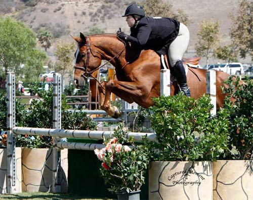 Chelsea Samuels and Adele 2013 USEF National Reserve Champion Amateur Owner Hunter 3'3" 18-35 Photo Captured Moment Photography