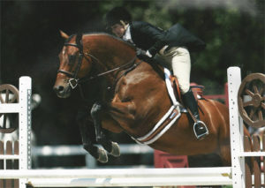 Ecole Nauber and Classified Adult Amateur Hunter 34-45 2013 Menlo Charity Photo JumpShot