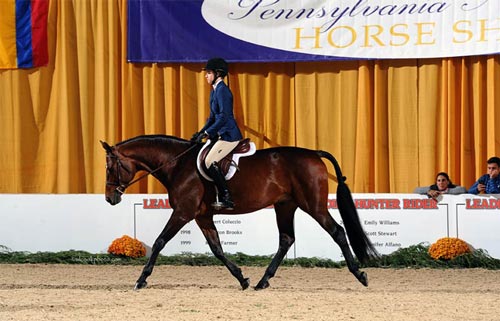 Katherine Dash and Laura Wasserman's Boss Champion Small Junior Hunters 16-17 2016 Pennsylvania National Photo Al Cook