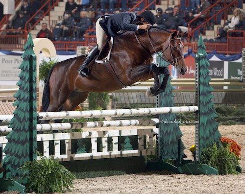 Laura Wasserman's Boss with John French 2015 Performance Horse Registry Silver Stirrup National Champion Conformation Hunter Photo Al Cook