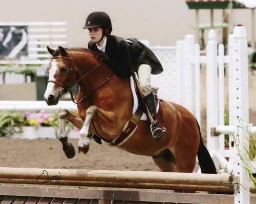 Skylar Nelson and Rainbow Canyon owned by Wild Sky Farm Best Pony Rider Small Pony Hunters 2009 Del Mar National Photo Osteen