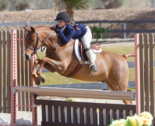 Stella Wasserman and Silly Putty Medium Pony Hunter 2016 HITS Desert Circuit