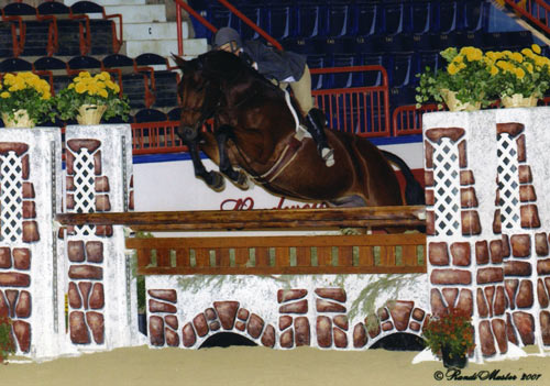 Winn Alden and My Cap Champion Regular Conformation Hunter 2007 Pennsylvania National Photo Randi Muster