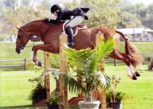 Ashley Pryde and Wesley Champion Small Junior Hunters 15 and Under 2008 Blenheim Summer Classic Photo Captured Moment Photography