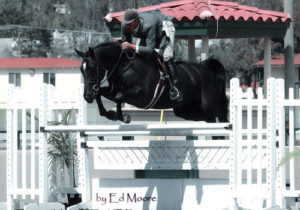 Archie Cox and Macondry owned by Kelly Johnson 2005 Del Mar National Photo Ed Moore