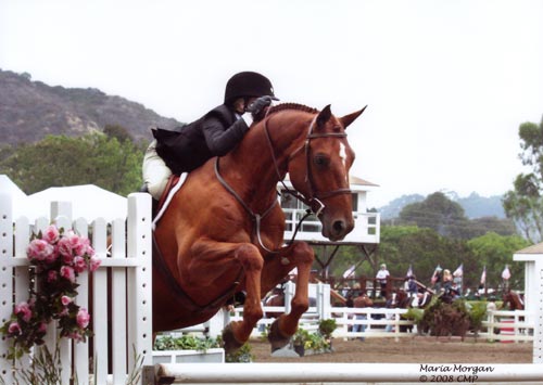 Ashley Pryde and Pringle Champion Small Junior Hunters 2008 Showpark Photo Captured Moment