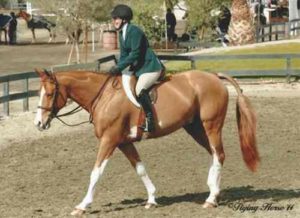 Ecole Nauber and Banderas 2014 HITS Desert Circuit Photo Flying Horse