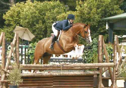 Ecole Lathrop and Banderas Reserve Champion Adult Amateur Hunter 2015 Menlo Charity Horse Show Photo Deb Dawson