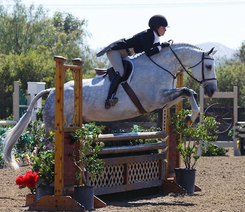 Laura Wasserman's St. Moritz 2015 Performance Horse Registry Silver Stirrup National Reserve Champion Performance Hunter 3'3"