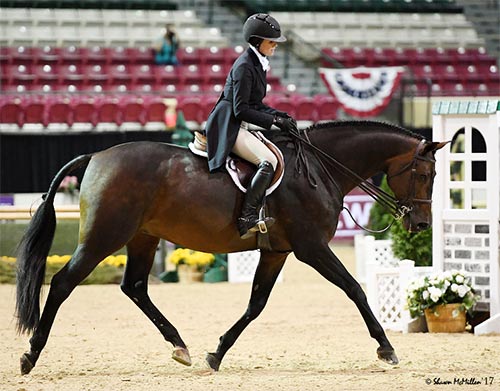 Lindsay Maxwell and Belgravia Grand Champion Amateur Owner Hunter 3'3" 2017 Capital Challenge Photo by McMillen