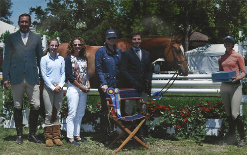 Nick Haness and Krave Champion 1st Year Green Working Hunter Winner of Scott Wilson Memorial Trophy 2013 Menlo Charity Archie Cox Hunter Siebel Stacey Siebel Caerrie Robinson Nick Haness