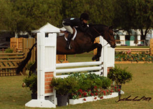 Teddi Mellencamp and All That Jazz owned by Archie Cox Regular Conformation Hunters 2009 Blenheim Spring Classic III Photo Flying Horse