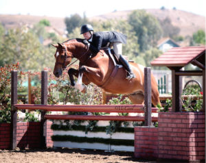 Virginia Fout and Cristiano Amateur Owner Hunter 2015 Blenheim June Classic Photo Amy McCool