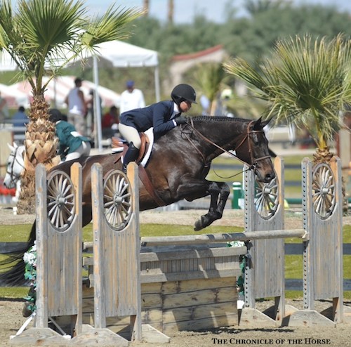 Brooke Sassa and Catwoman Large Junior Hunter 15 & Under 2014 HITS Desert Circuit Photo Flying Horse