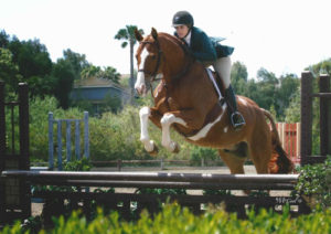 Ecole Nauber and Banderas Champion Low Child Adult Hunter 2015 Blenheim Spring Classic Photo McCool