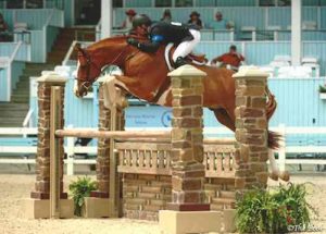 Nick Haness and Banderas owned by Ecole Nauber High Performance Hunter 2015 Devon Horse Show Photo The Book LLC