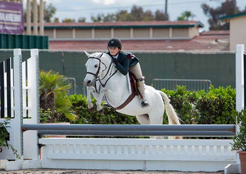 Stella Wasserman and Blueberry Hill Grand Champion Pony Hunter Champion Small Pony Hunter 2016 Del Mar National