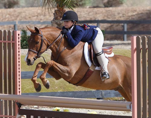 Stella Wasserman and Silly Putty Medium Pony Hunter 2016 HITS Desert Circuit