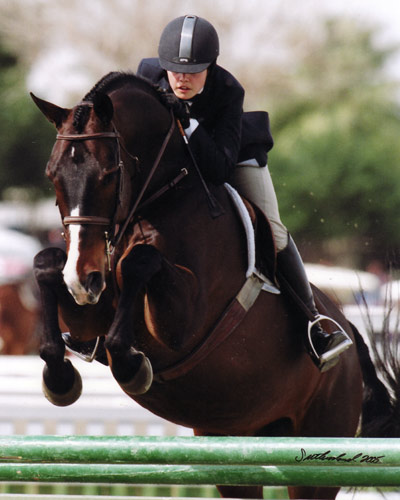 Stephanie Danhakl and Bellingham Bay Champion Large Junior Hunter 16-17 2005 HITS Desert Circuit Photo Flying Horse