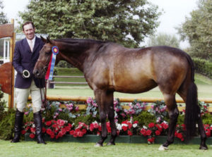 Victory Road and Archie Cox owned by Harriet Posner Champion 2nd Year Green 2011 Blenheim Summer Classic II Photo Captured Moment Photography