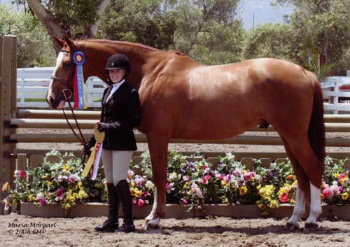 Ashley Pryde and Wesley Champion Small Junior Hunters 2008 Showpark Photo Captured Moment