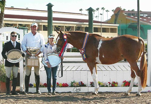 Ecole Lathrop's Banderas Champion High Performance Hunter 2015 Del Mar National Photo Osteen