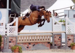 John French and Scout owned by Stephanie Danhakl Champion Green Conformation Hunters 2007 Devon Horse Show Photo Randi Muster