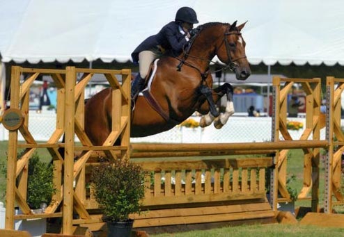 Laura Wasserman and Back in the Game Amateur Owner Hunter Classic 2013 Menlo Charity Horse Show Photo JumpShot