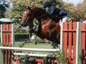 Laura Wasserman and Back in the Game Amateur Owner Hunter 2013 Blenheim Fall Tournament Photo Captured Moment Photography