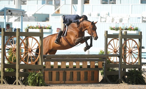 Laura Wasserman's Boss ridden by John French 1st Year Green Hunter 2015 Devon Horse Show Photo The Book LLC