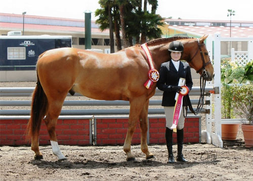 Lily Blavin and Sander Reserve Champion Small Junior Hunter 15 & Under 2013 Del Mar National Photo Osteen