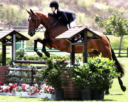 Piper and Daphne Harrington owned by Sylvia O'Conner Large Junior 15 & Under 2011 USEF National Hunter Finals at Blenheim Photo Captured Moment