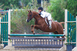 Stella Wasserman and Silly Putty Champion Medium Pony Hunter 2015 Blenheim Fall Tournament