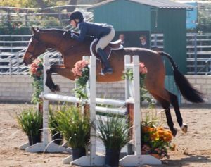 Teddi Mellencamp and Truman owned by Laura Wasserman Regular Conformation Hunter 2011 Los Angeles National