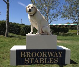 Zoe Fout National Champion 2013 Blenheim Spring I