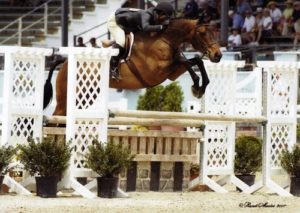 Annette Peterfy and Chance Amateur Owner Hunters 36 & Over 2007 Devon Horse Show Photo Randi Muster