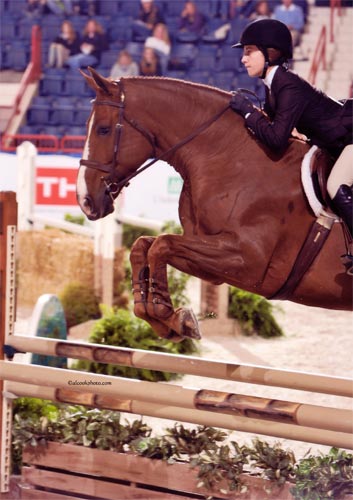 Cayla Richards and Presidio 7th Place USEF Hunter Seat Medal 2010 Pennsylvania National Photo Al Cook