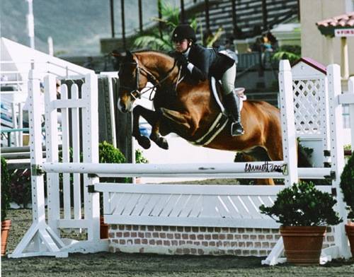 Delanie Stone and Royal Seven 2007 Zone 10 Champion Large Pony Hunters Photo Cathrin Cammett