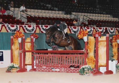 Jennifer Alfano and Quality Time Perfect Style 2006 Capital Challenge Horse Show Photo ONeills