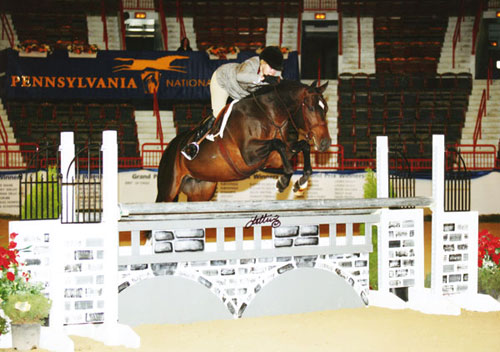 Leslie Steele and Smitten owned by Stephanie Danhakl USEF National Reserve Champion 2008 2nd Year Green Hunters Photo Anne K Gitten